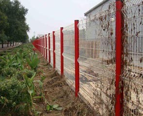 贵州桃型立柱护栏网
