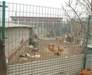 西藏养殖场护栏网004
